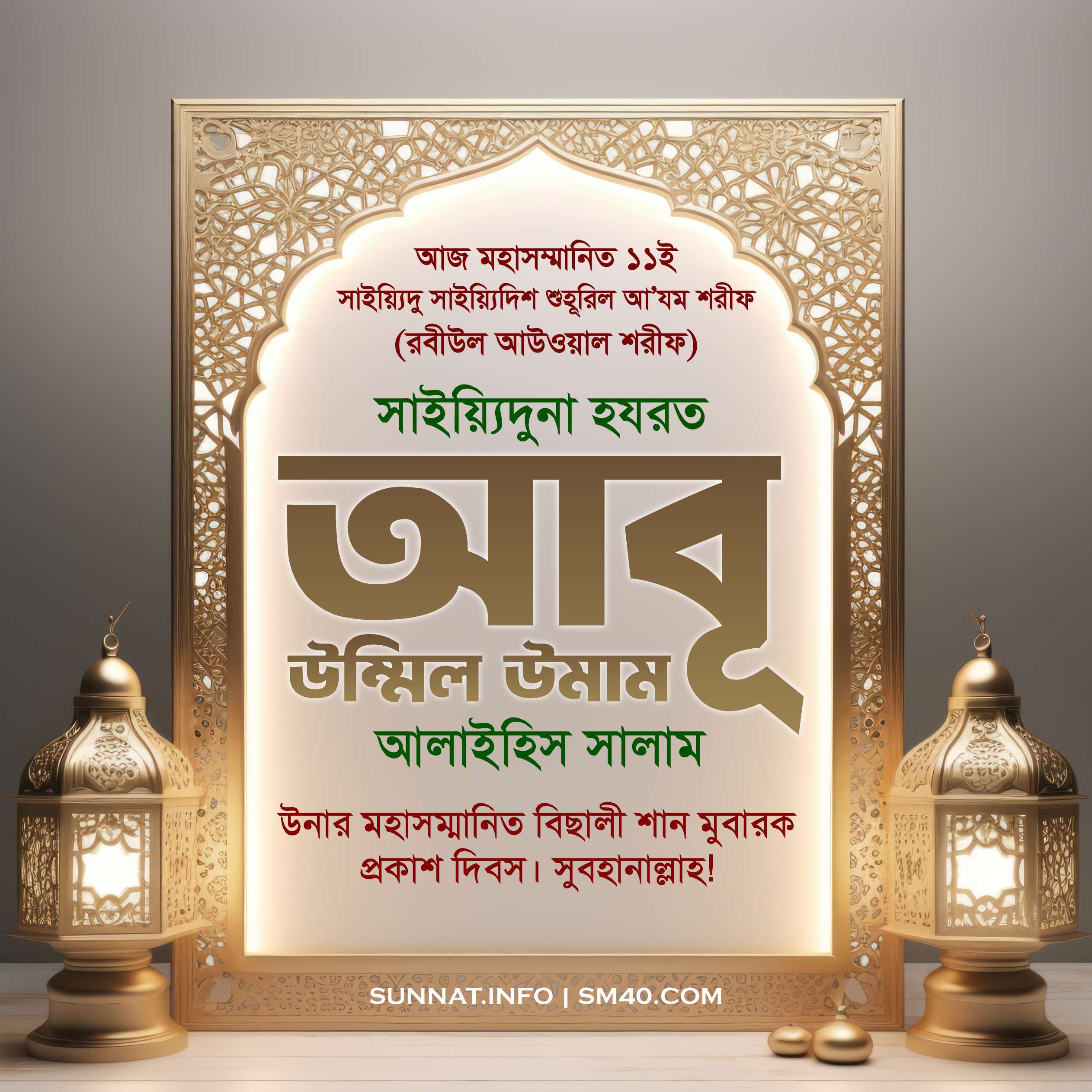 Qaldirgochning eng katta surati